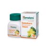 Gokshura Wellness Herbal Tablet