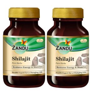 Zandu Shilajit Capsule Benefits