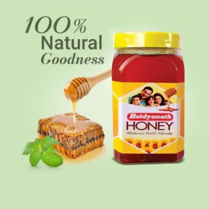 Baidyanath Zero Sugar Honey
