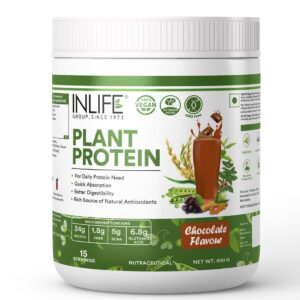 Vegan Protein Chocolate Strength