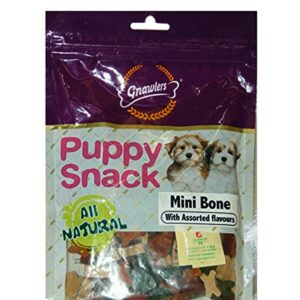 Puppy Snack Mini Bone