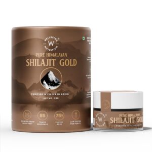 Wellbeing Nutrition Shilajit Gold